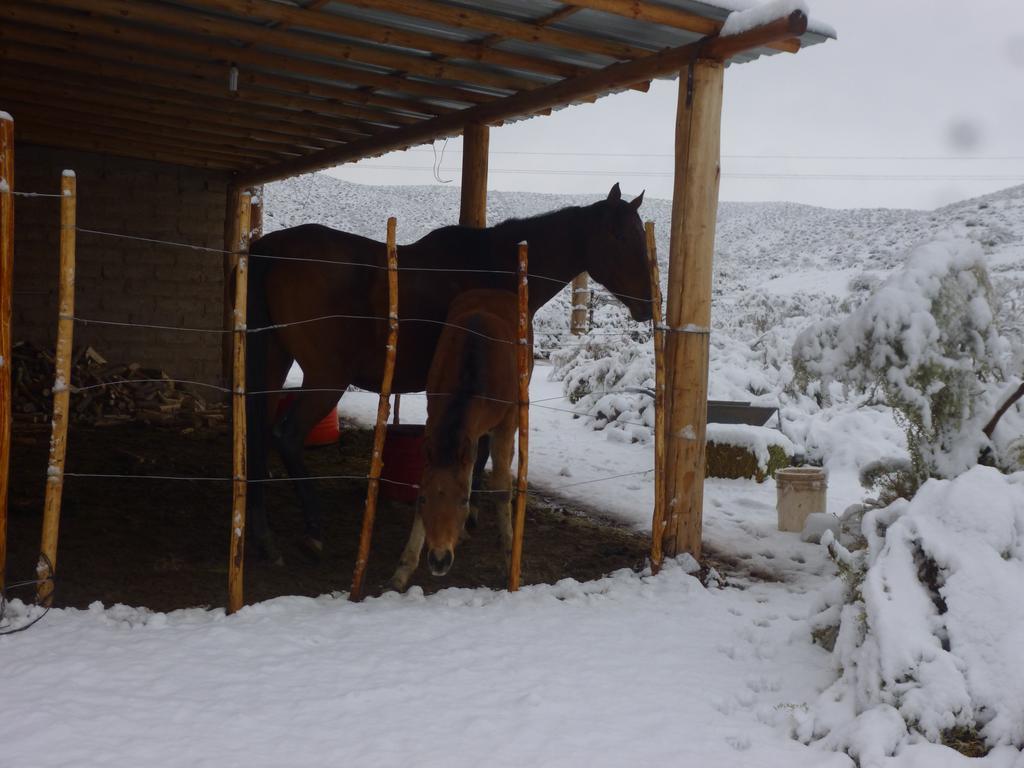 Valle Del Cielo Успайата Екстериор снимка